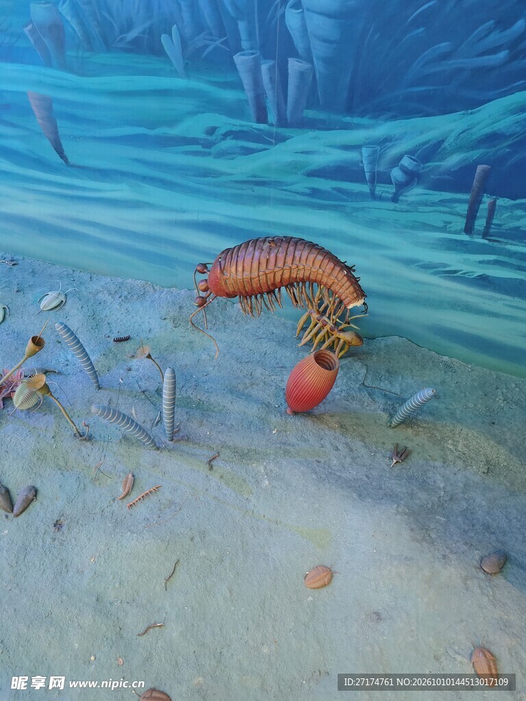 远古海底生物复原