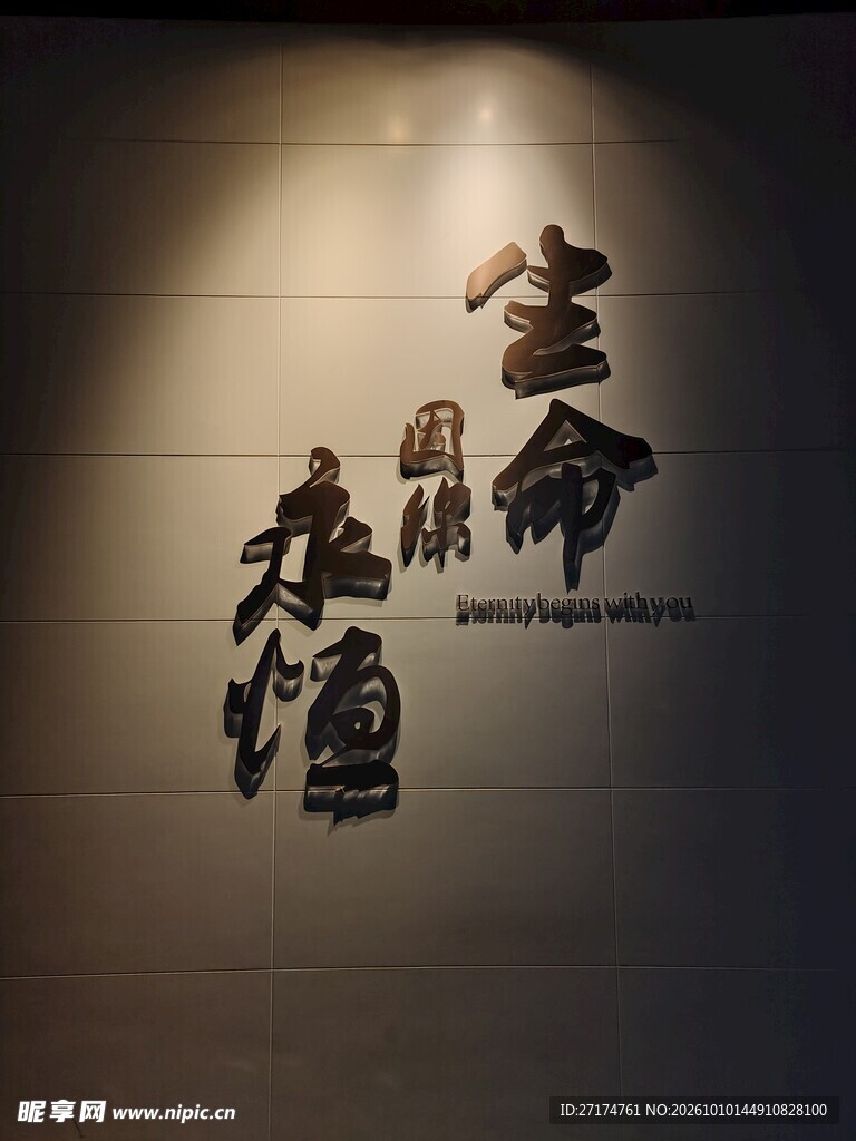 光影下的书法文字