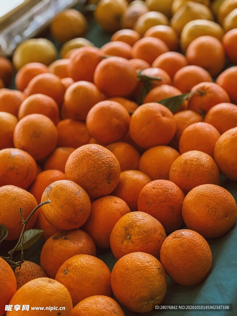 整齐摆放的新鲜橙子