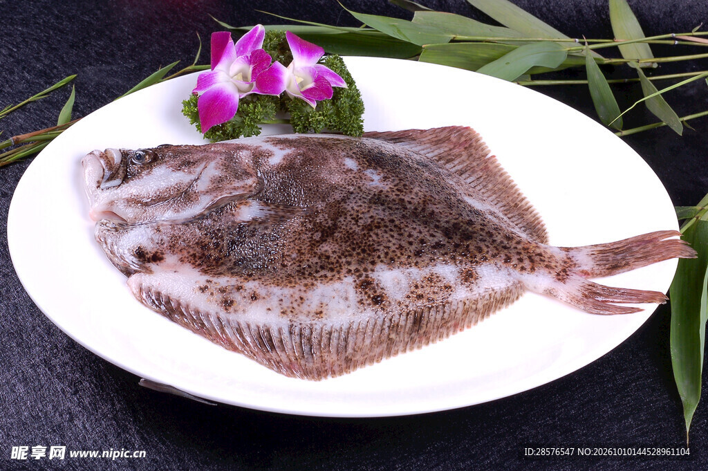 生鲜多宝鱼食材摆盘