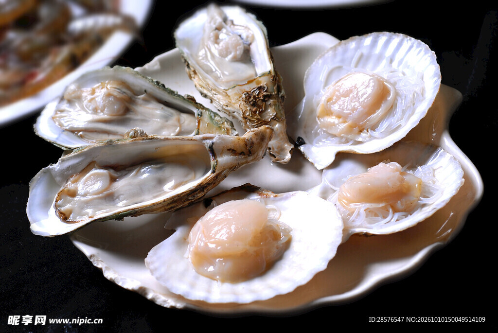 生鲜扇贝海鲜食材