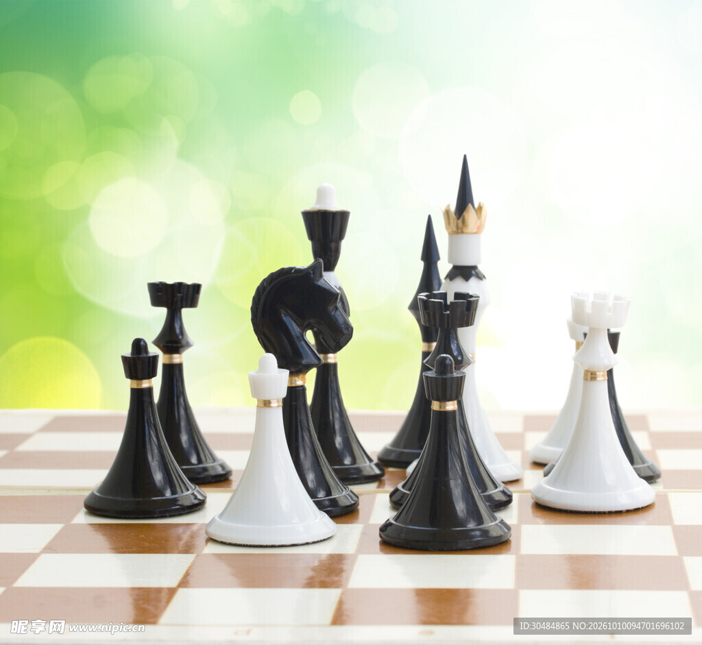 棋盘上的国际象棋