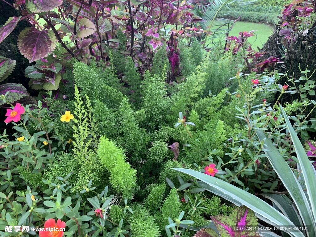 绿植花卉园林小景