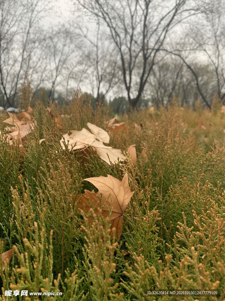 荒郊草间残石旧景