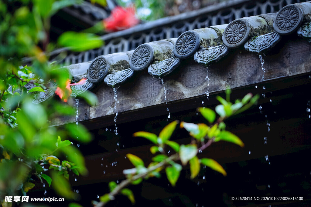 雨中古檐绿植小景