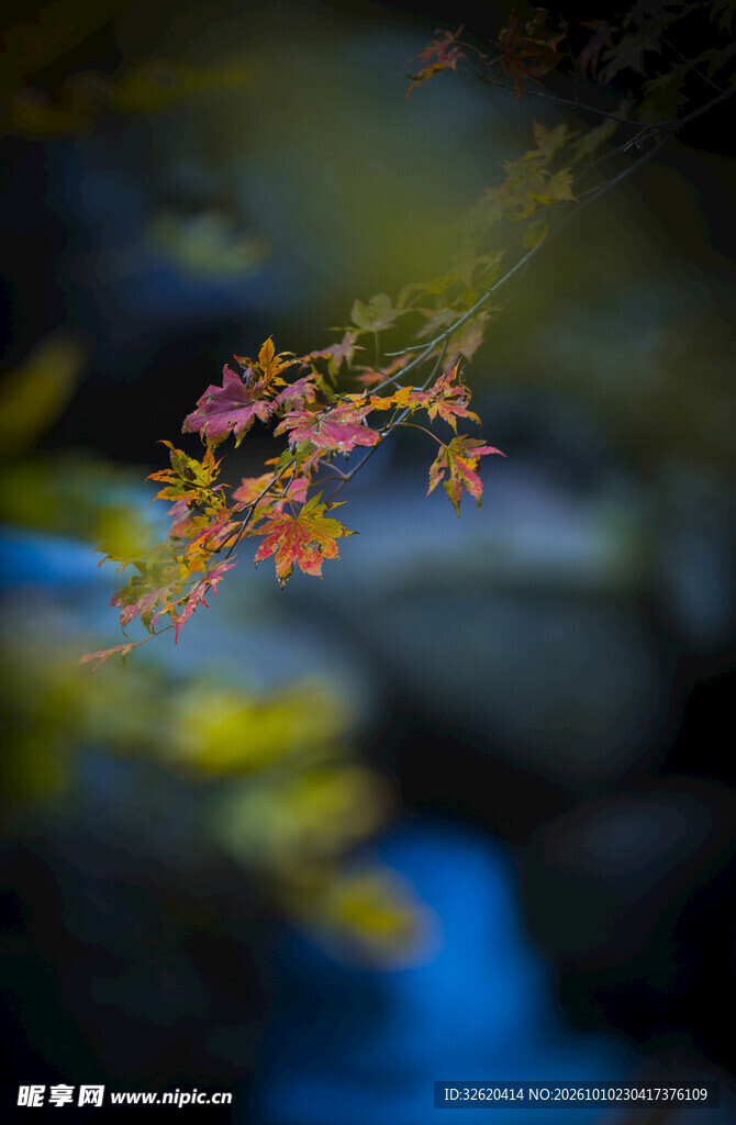 朦胧秋叶水景倒影