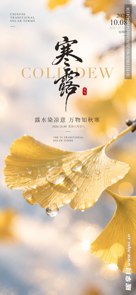 寒露节气银杏唯美海报