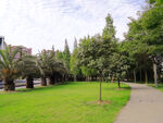 公园风景