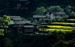 山村风景