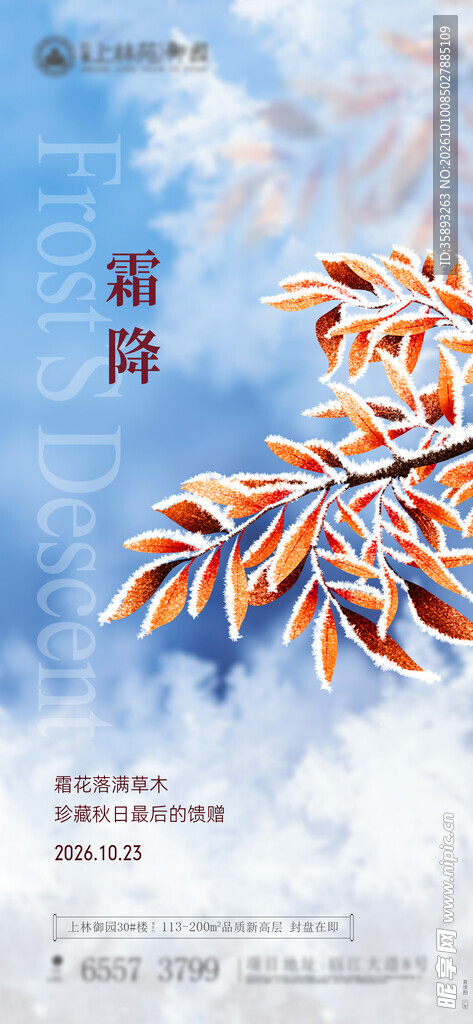霜降节气手绘海报