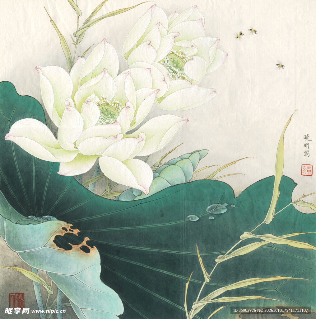 工笔白荷清趣图