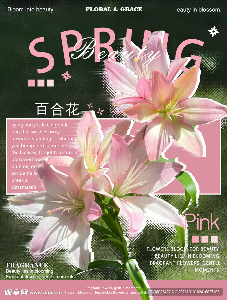 春日粉色百合花海报