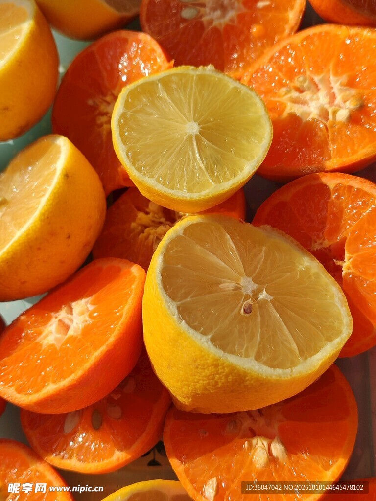 鲜切柑橘鲜果特写