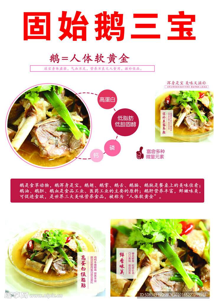 固始鹅三宝美食海报