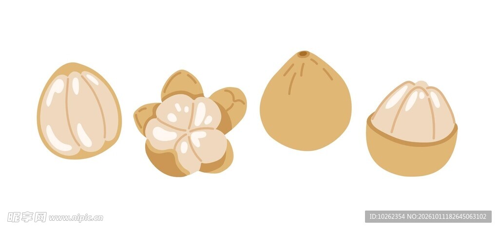 手绘龙眼组合素材