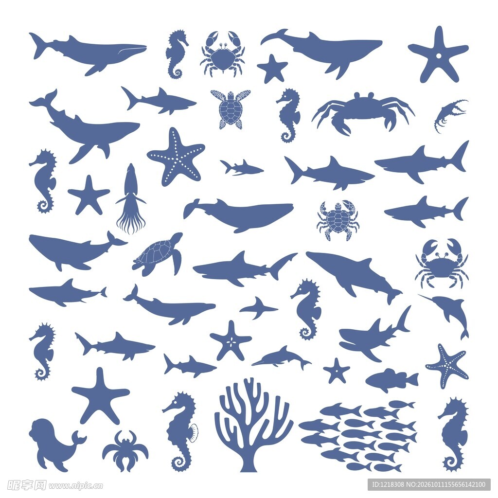 海洋生物剪影