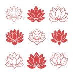 红色莲花素材