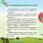 企业简介