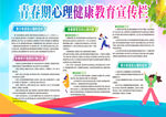 青春期健康教育宣传栏展板