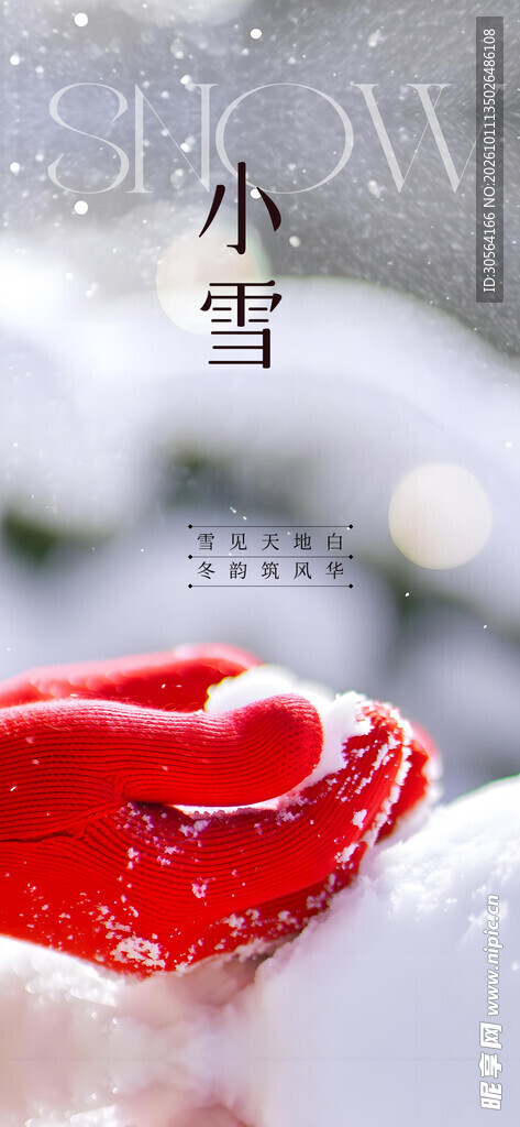 小雪节气冬日主题海报