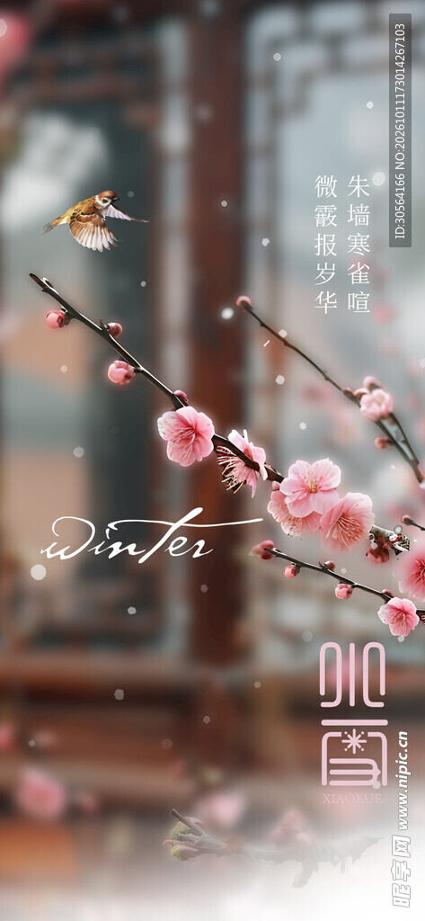 小寒红梅古风意境