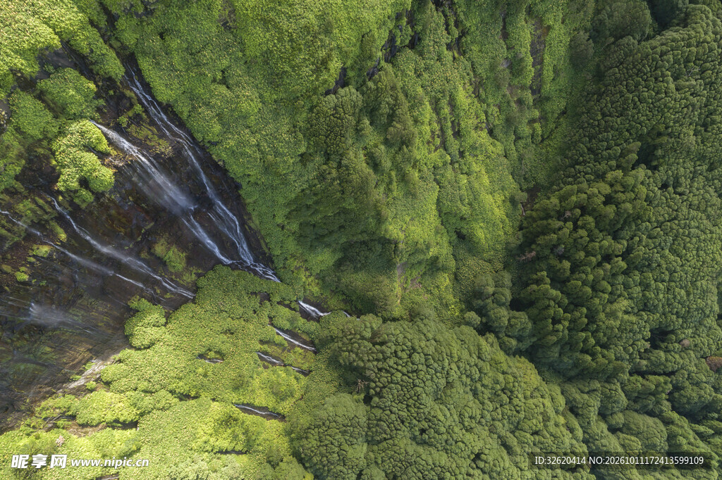 林间绿意自然风景