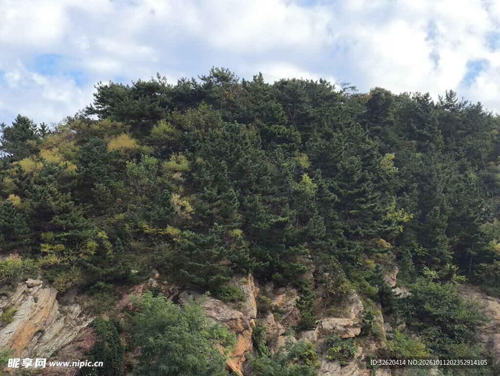 郊野山林自然风光
