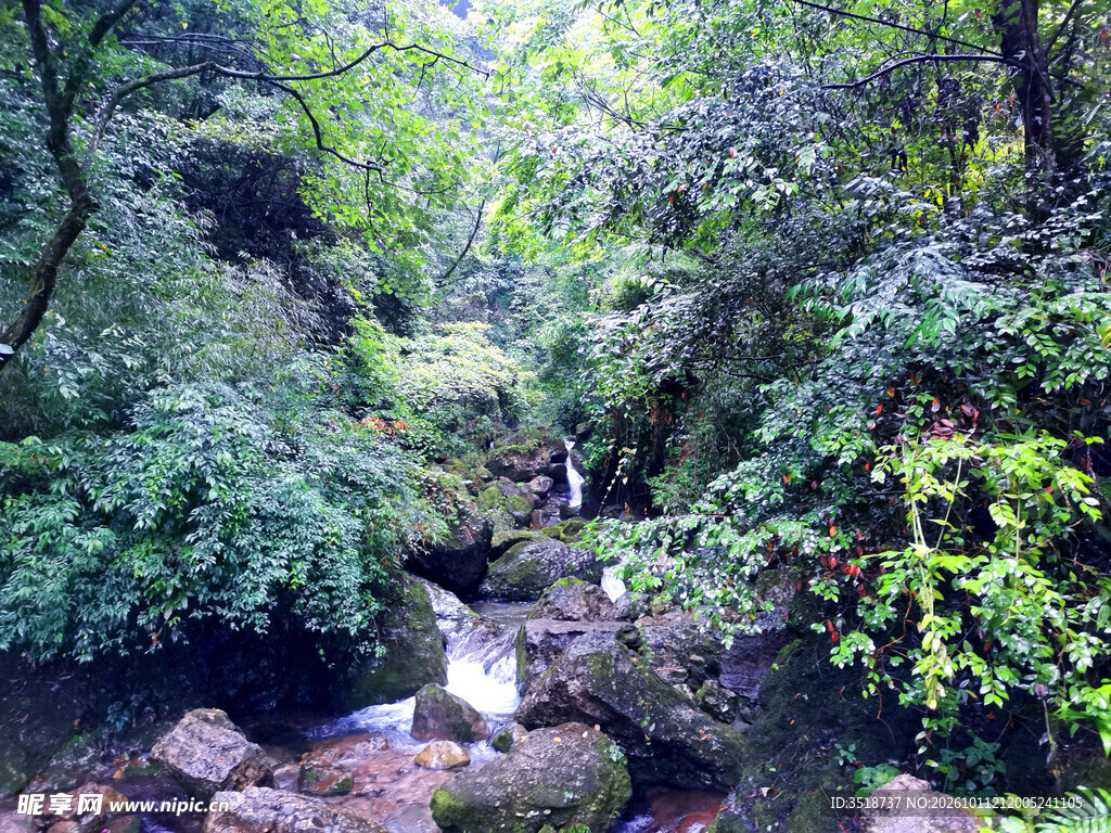 青城后山