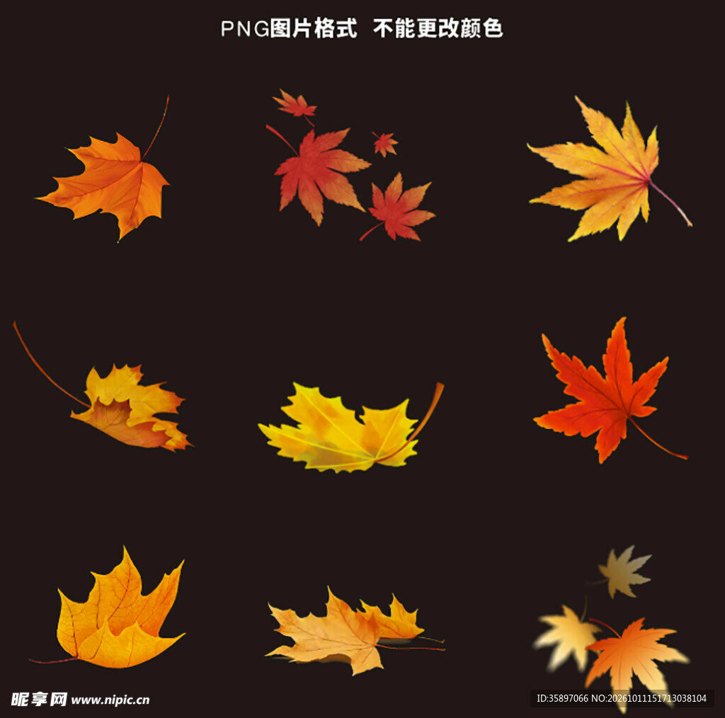 秋日水彩枫叶素材