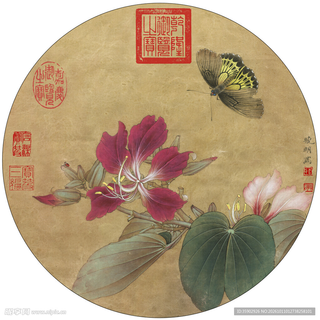 古典花蝶工笔团扇画