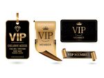 VIP 装饰素材