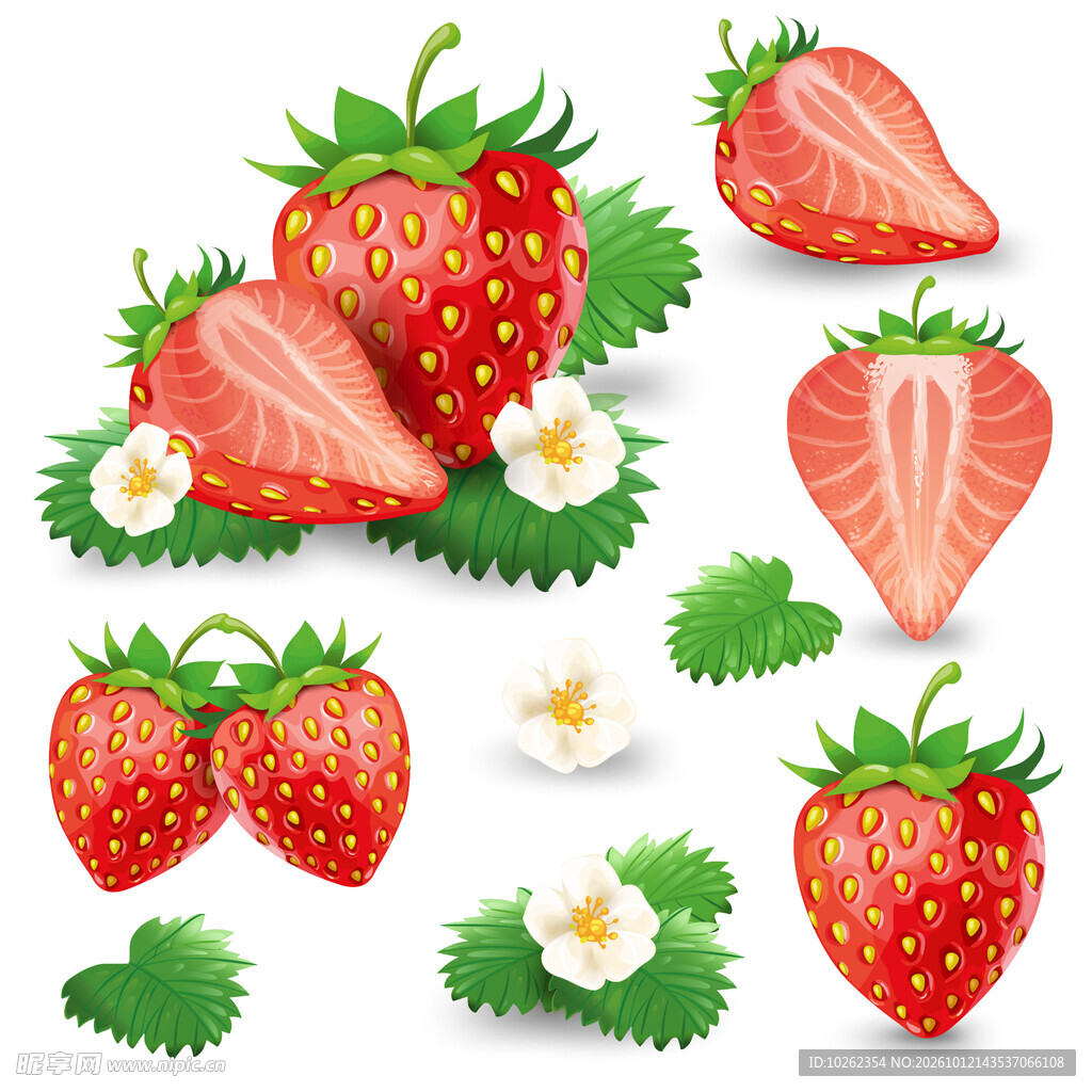 新鲜草莓组合插画素材