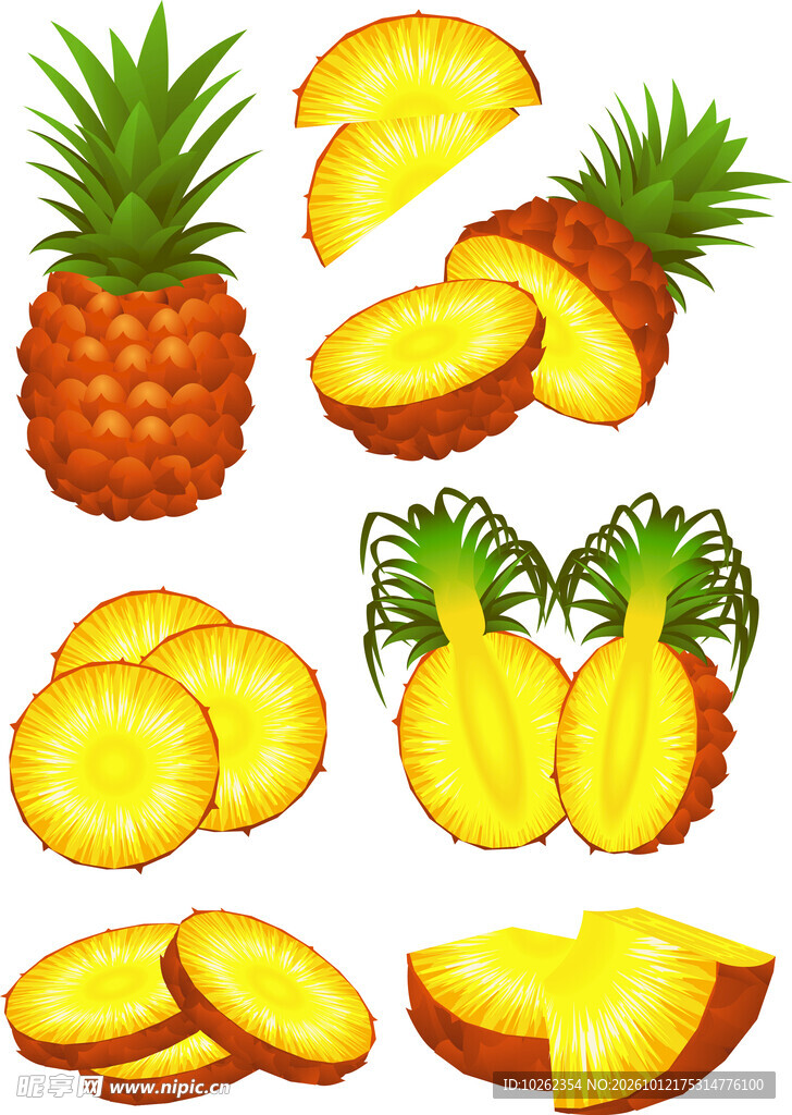 多款菠萝插画素材合集