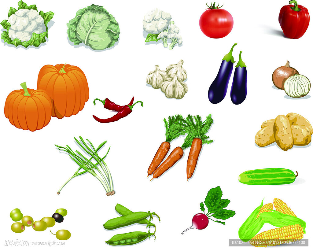 常见新鲜蔬菜合集