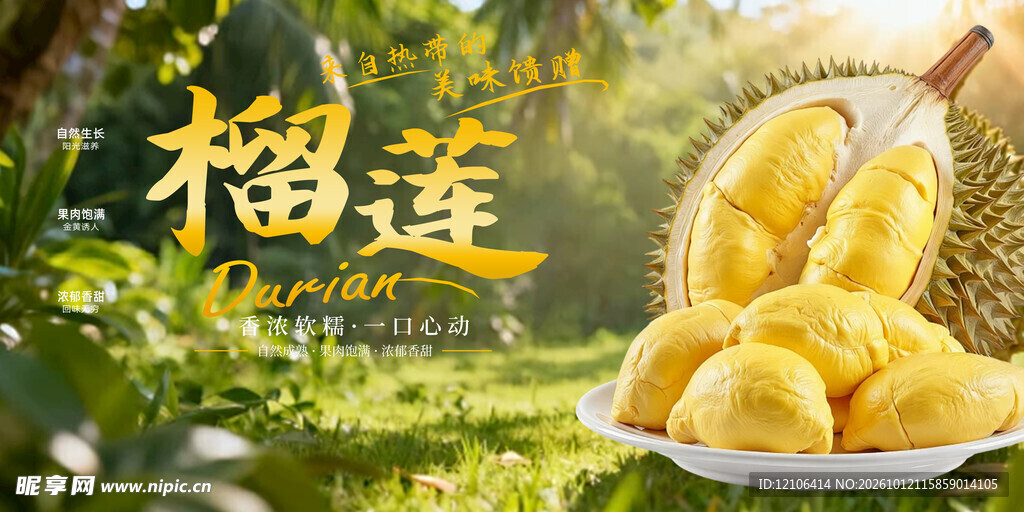 榴莲鲜果宣传海报