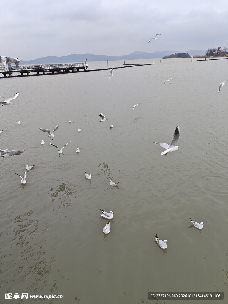 鼋头渚山水