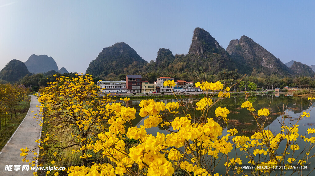 英德九龙春日郊野花海山景