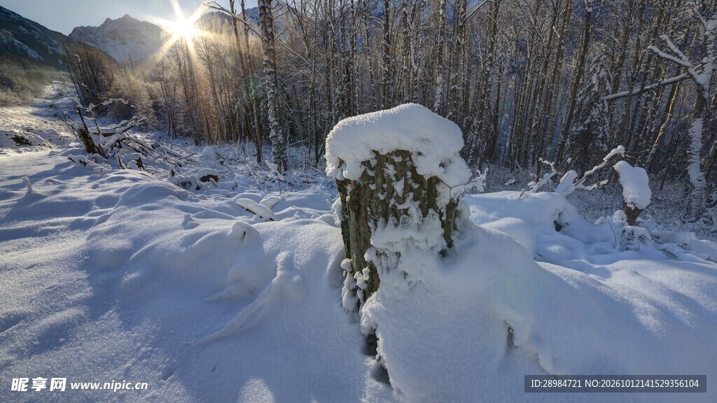 冬日雪地日出风光