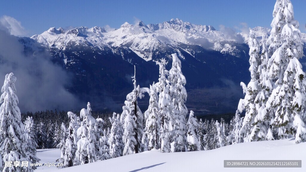 冬日雪山雾凇美景