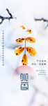 小雪创意节气海报
