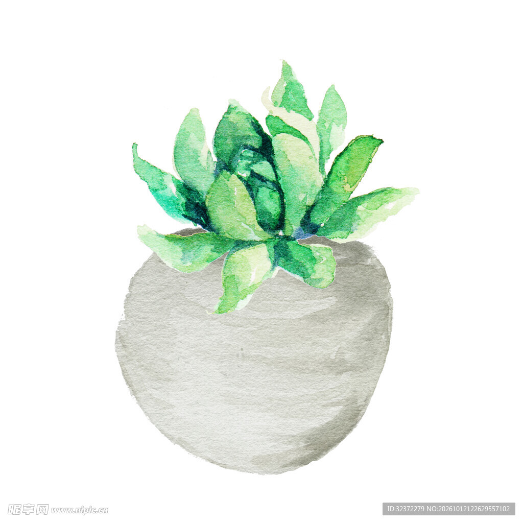 水彩手绘清新小盆栽