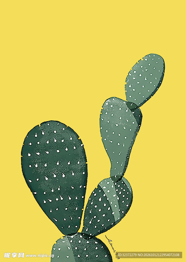 植物插画  
