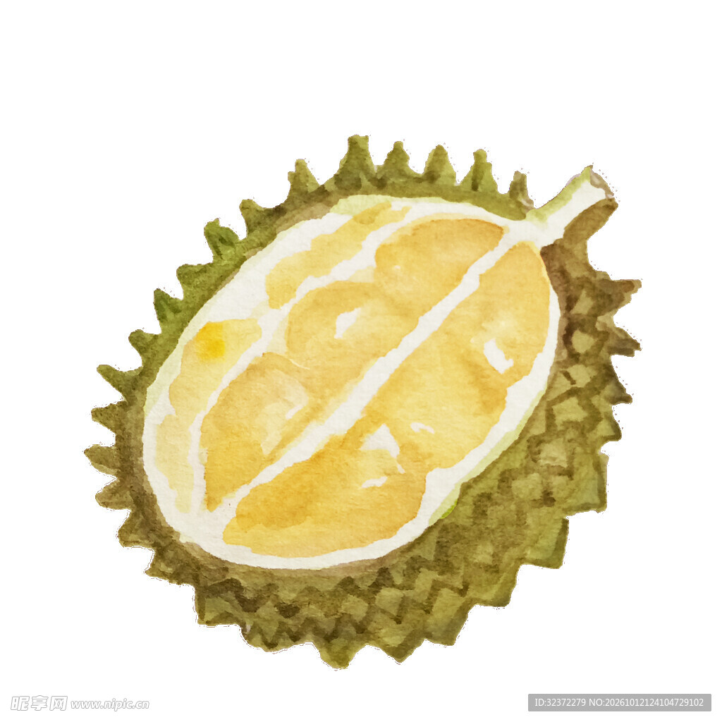 手绘水彩榴莲