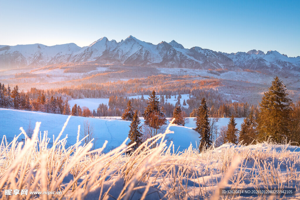 冬日雪原晨光美景
