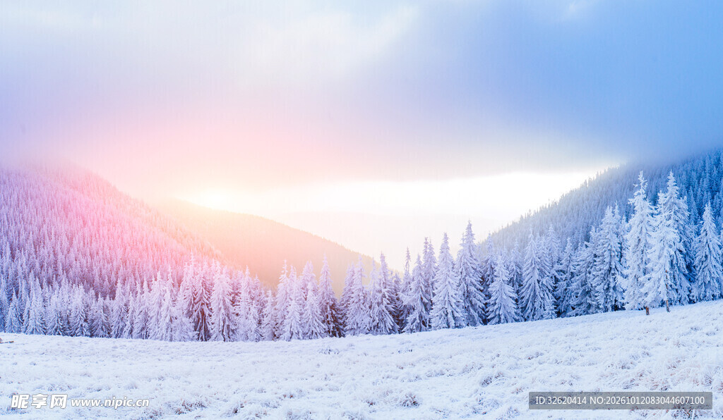 冬日雪原日出美景