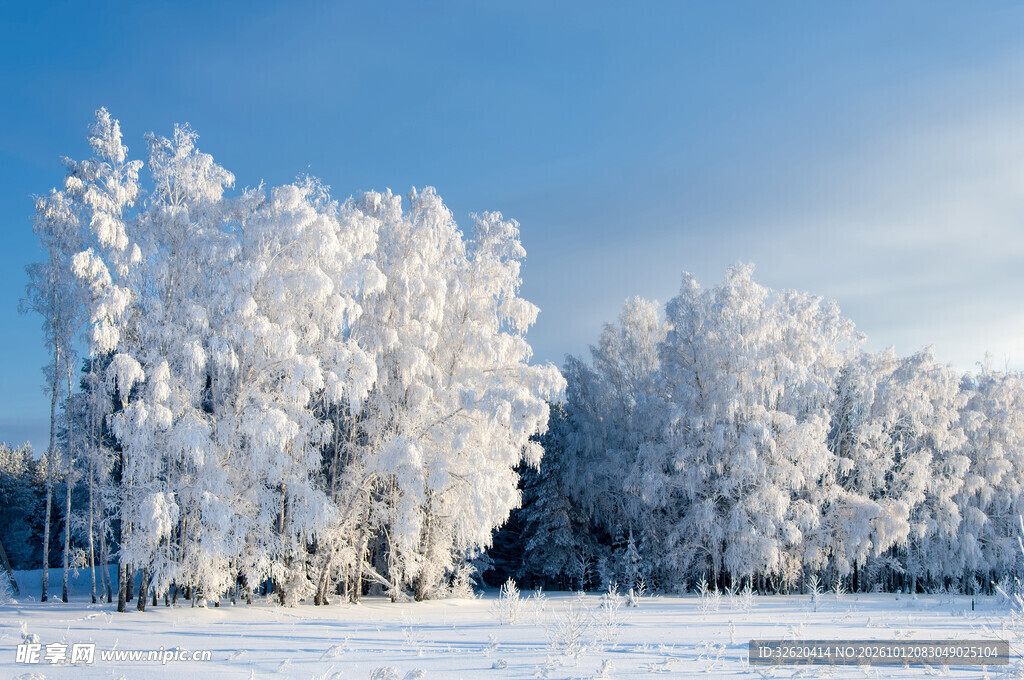 冬日雾凇雪景