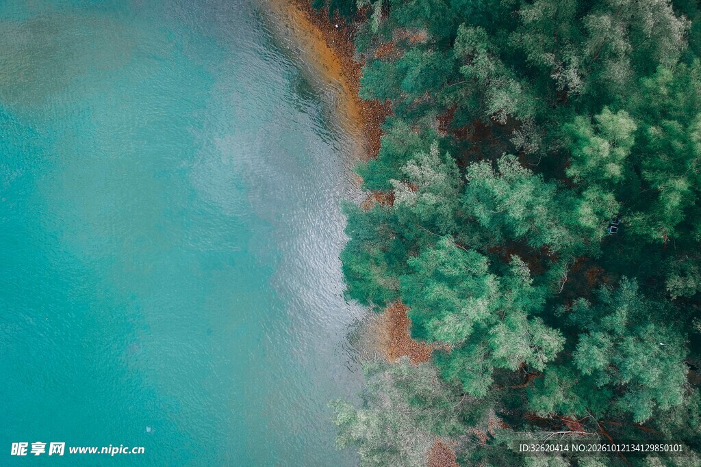 湖畔翠树自然风景