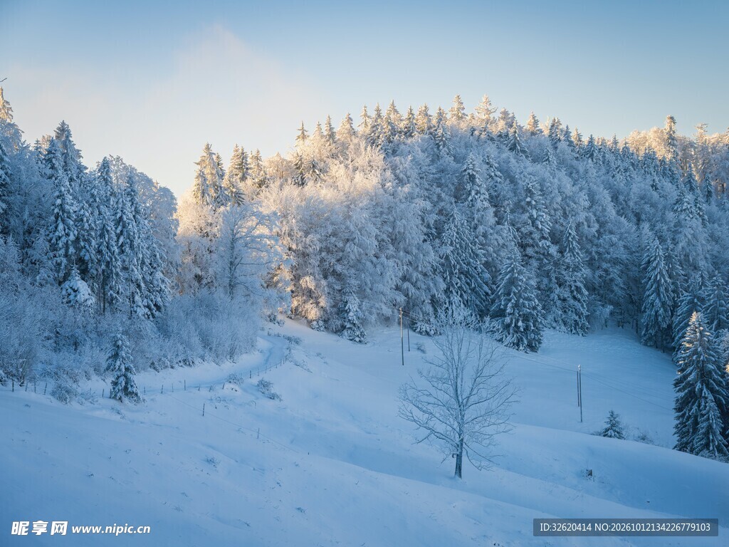 冬日雪后山林晨光