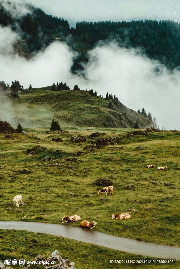 高山牧场云雾草原风光
