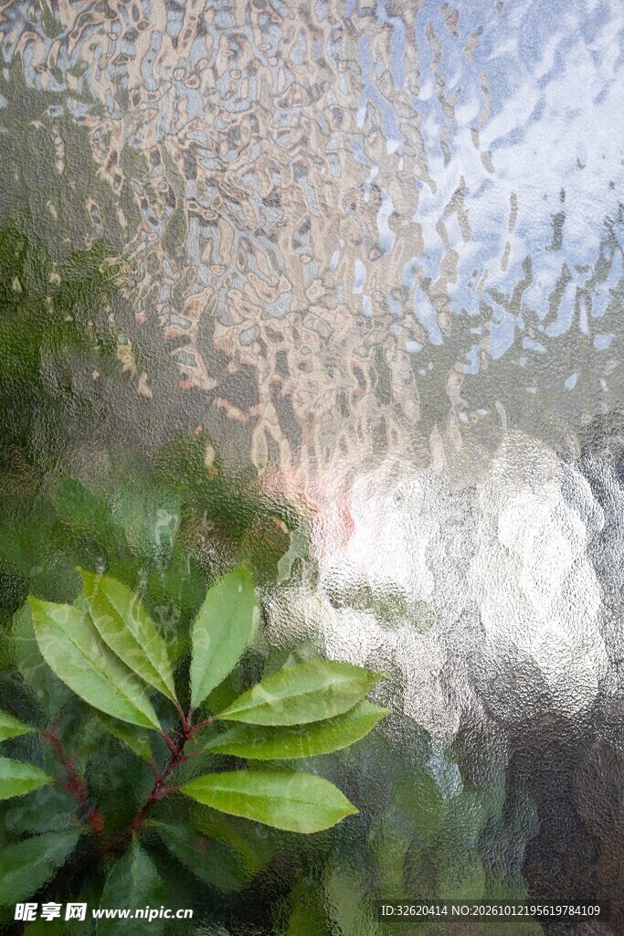雨雾玻璃外清新绿植
